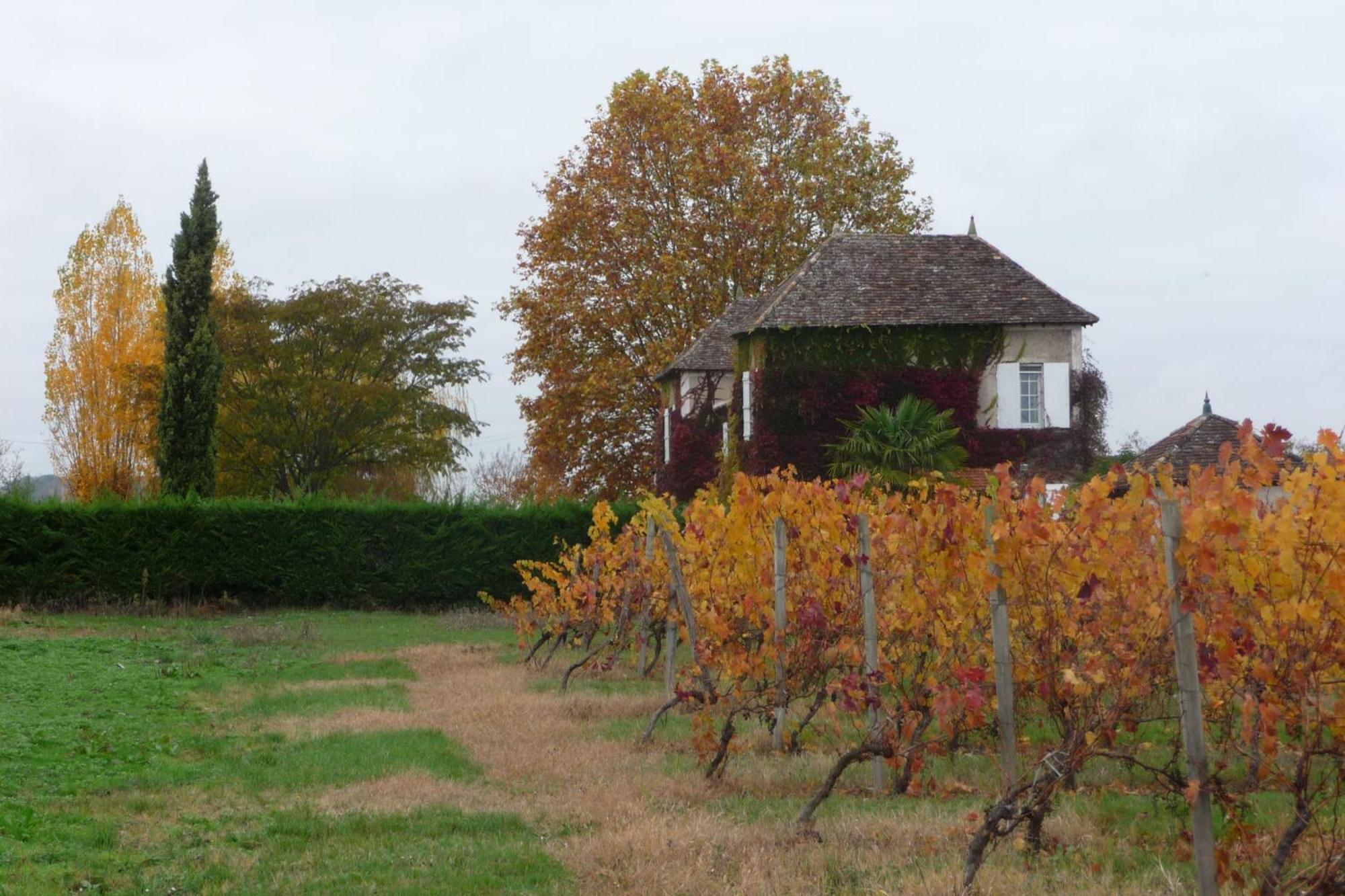 Bed and Breakfast Domaine De La Queyssie Saussignac Esterno foto