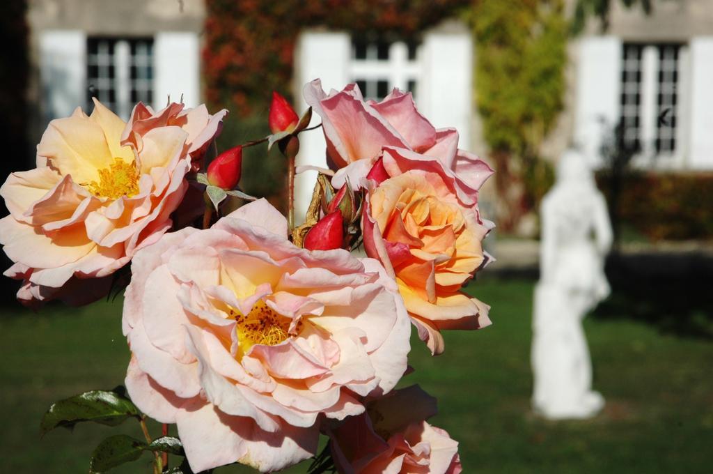 Bed and Breakfast Domaine De La Queyssie Saussignac Esterno foto