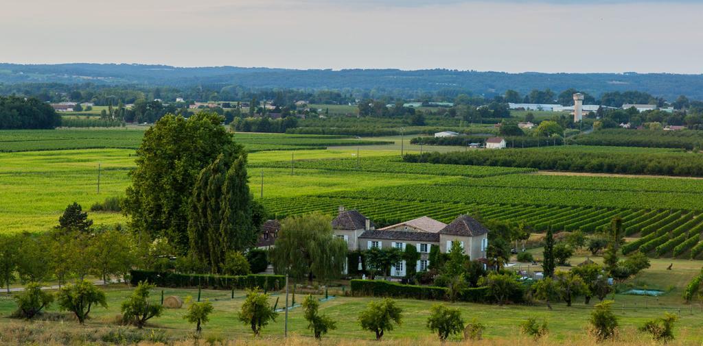 Bed and Breakfast Domaine De La Queyssie Saussignac Esterno foto